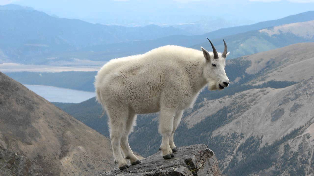 New Vid on TMGS - Minecraft Dual Com Adventure Map with Raisugoat!