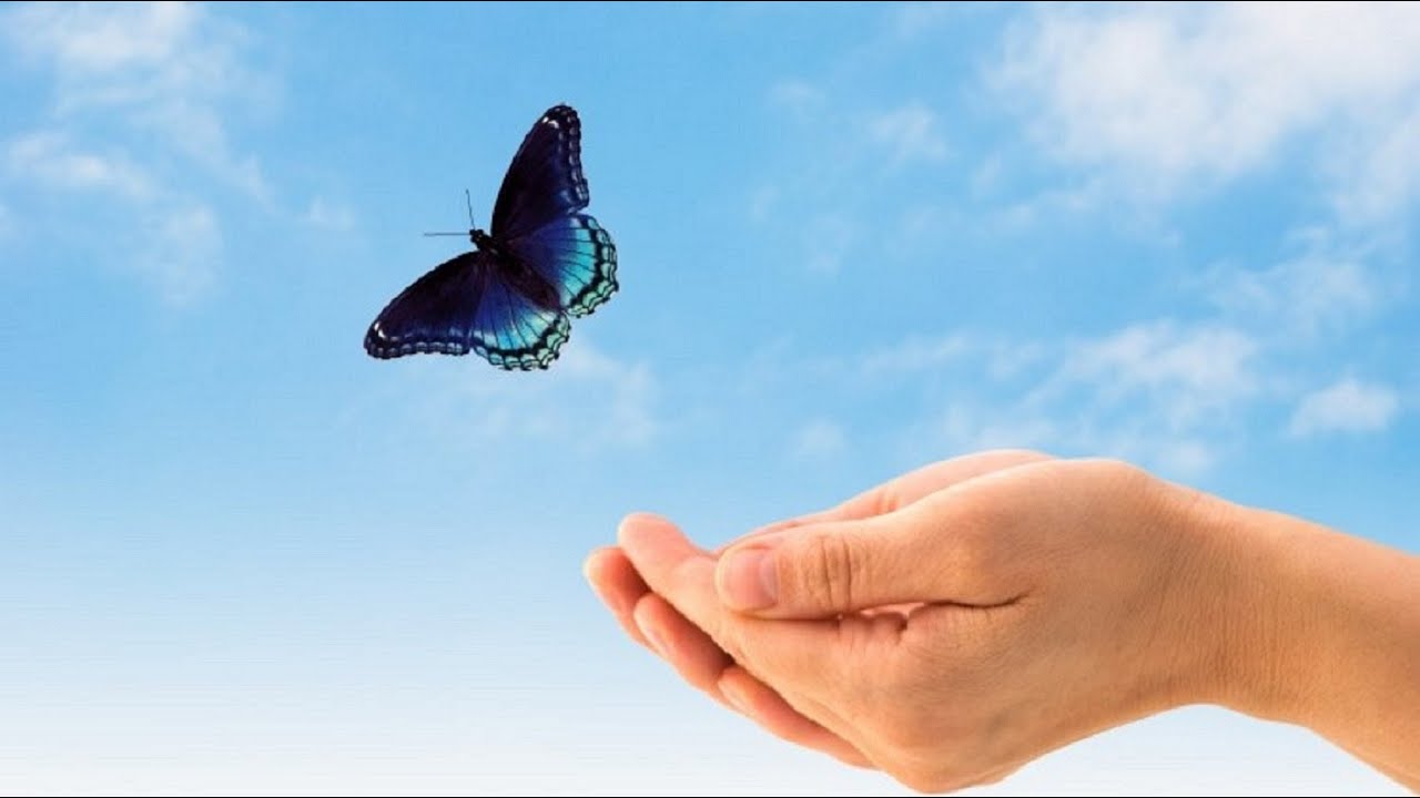 СЕРДЦЕ ТВОЁ. Песня Анастасии Машковой - YouTube