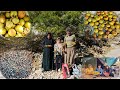 Real Life of Iranian Nomads: Harvesting Wild Pomegranates &amp; Pistachios + Traditional Cooking