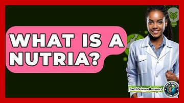 What Is A Nutria? - Earth Science Answers