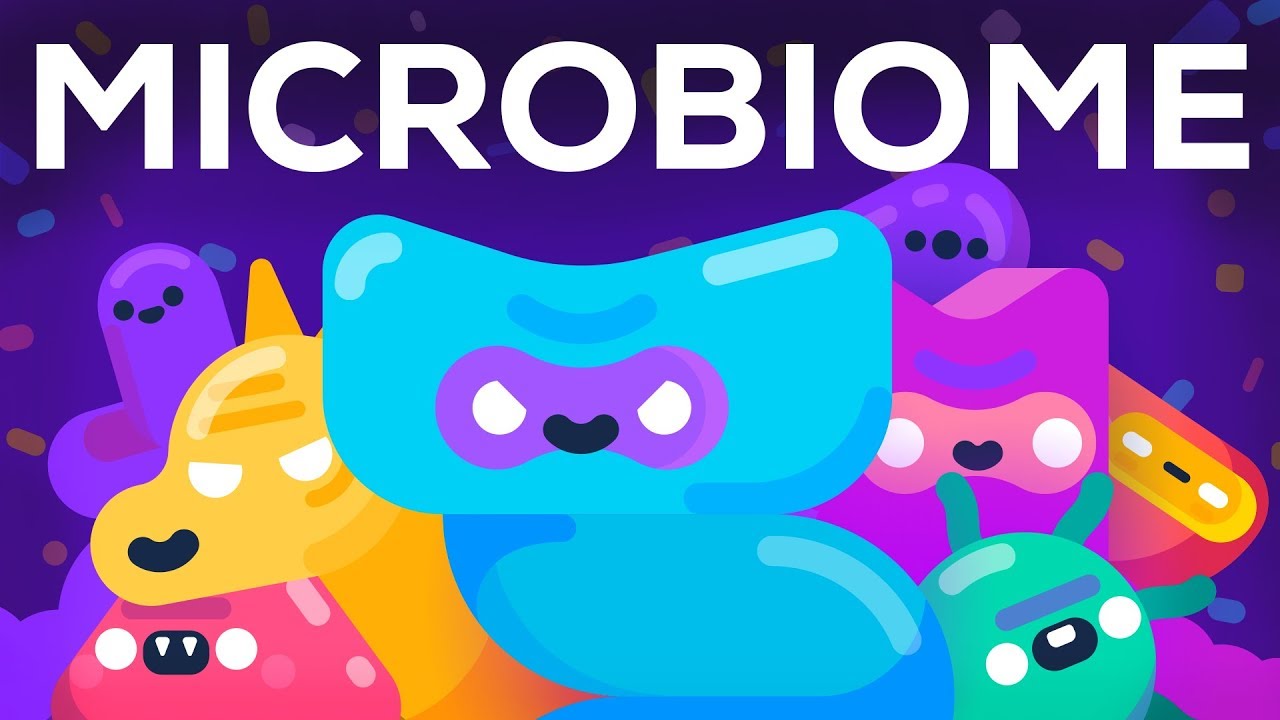 ⁣How Bacteria Rule Over Your Body – The Microbiome