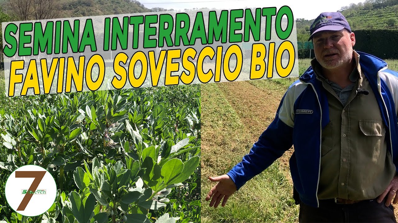 Semina e Interramento FAVINO SOVESCIO BIO