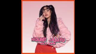 Ayy Srie - Hidung Jambu