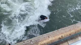 5 waves with Jake Davis at small San Clemente pier