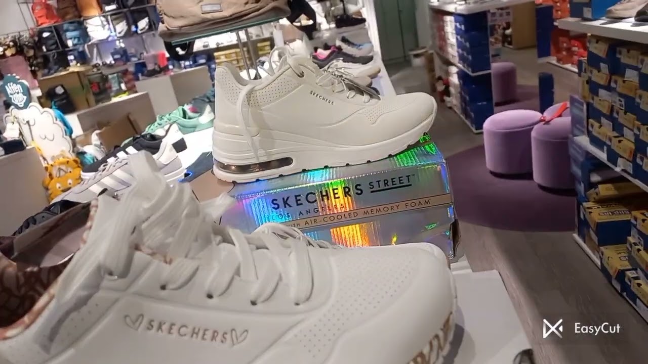 Долгая поездка в Вену.