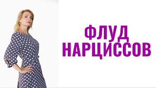 видео: Флуд нарциссов картинка: Флуд нарциссов
