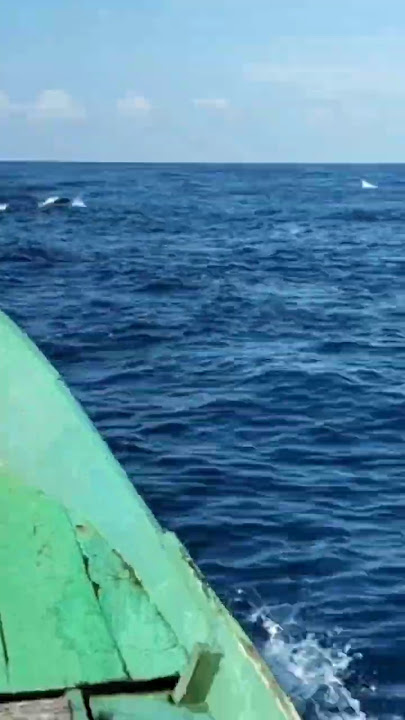 I lifted the white foam, wow 😲, fishing, @Uhuuli8585 #fishing #fishing #fish