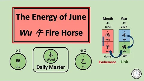 Wood Daily Master in Wu 午 Fire Horse Month (June) - 15th Live (1) - DayDayNews