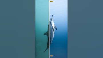 Prime Outdoor Premium Lightroom Presets [FREE] #outdoors #premium #lr #preset #youtube #shorts