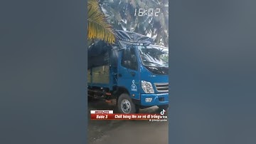 Hàng rào bằng cây xanh được làm như thế nào ????