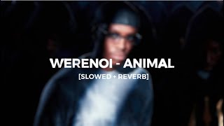 Werenoi - Animal [slowed + reverb]