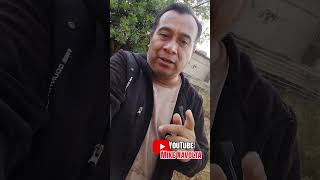 #5236 Pleyadiana REAL #alien #tijuana #news #video #youtube #live #podcast #reels #shorts #real #god