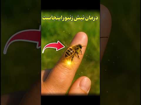 زنبور نیش زد حالا چیکار کنم که حالم بدتر نشه