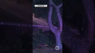 Fire At Encampment At Woodlands Park Causes $500K In Damages