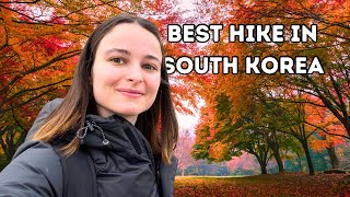 Best Autumn Spot in South Korea | Solo Hiking in Naejangsan