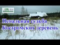 Печальная судьба Костромских деревень. Деревни в Костроме. Обзор деревни. Деревни в Костромской обл