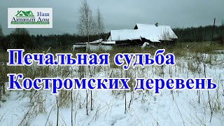 видео: Печальная судьба Костромских деревень. Деревни в Костроме. Обзор  деревни. Деревни в Костромской обл картинка: Печальная судьба Костромских деревень. Деревни в Костроме. Обзор  деревни. Деревни в Костромской обл