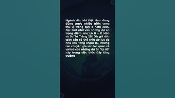 Dự án Lô B - Ô Môn và Sư Tử Trắng 2B "tạo sóng" tỷ đô cho PVD, PVS!