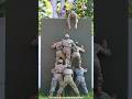 All these armies make any difficult task possible through teamwork #shortsvideo