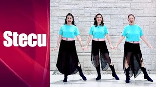 Stecu Line Dance (demo & count)