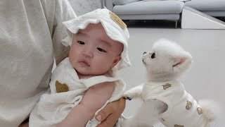 Grandma only paid attention to the baby, so the puppies got upset