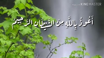 آيات من سورة الملك "بصوت الطالب فوزي بن أحمد الأثري"