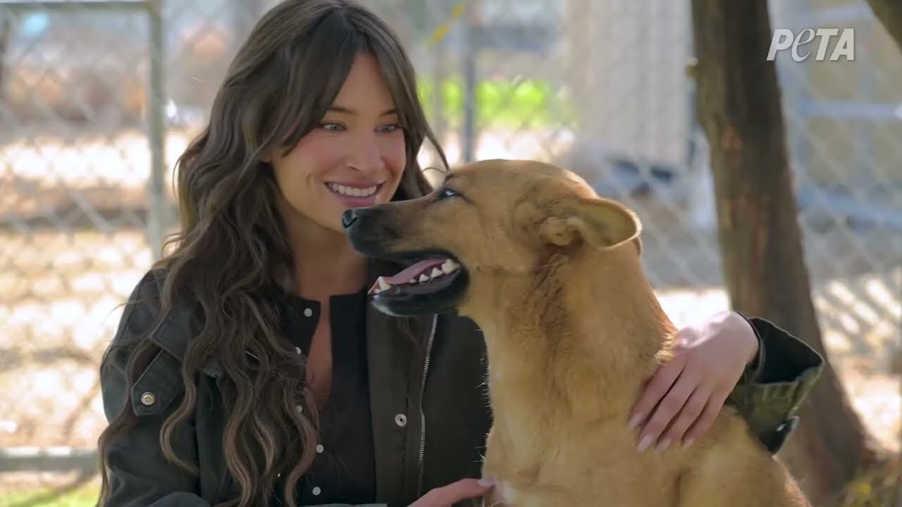 Animal Shelter Discussion with PETA