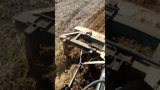 Mf 165 Çizer Ile Anız Sürümü