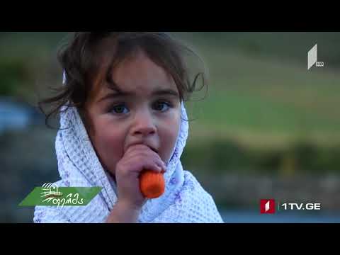 გადაცემა 'ფერმა' ყაზბეგის PIN/ENPARD ის პროექტის შესახებ   1 არხი IPIN