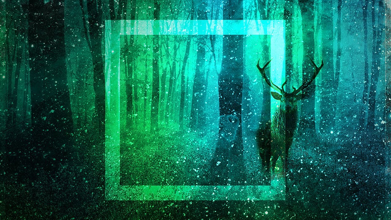 Dan Sieg - Grace [Silk Music] study music for kids