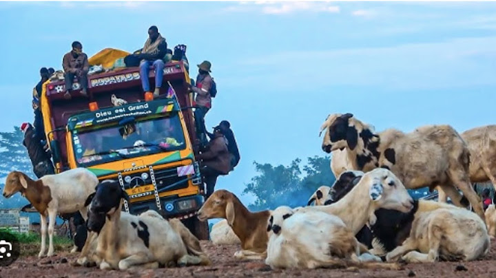 🚨 Central Africa’s Deadliest Journeys: Roads of No Return 🌍 | Extreme Travel Documentary