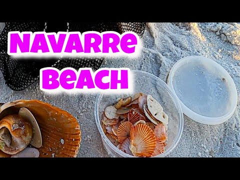 فيديو: الدليل الكامل لشاطئ نافار بولاية فلوريدا