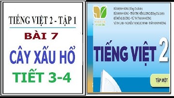 BÀI 7: CÂY XẤU HỔ, TIẾT 3-4 | TIẾNG VIỆT 2 TẬP 1, KẾT NỐI TRI THỨC VỚI CUỘC SỐNG