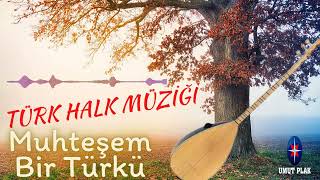 Dillerden Düşmeyen En Güzel Türküler - Türk Halk Müziği✔️ Resimi