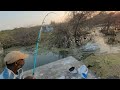 Unbelievable Fishing|Fish Hunting Catching The Big Rohu fishes to Singal Hook|Unique Rohu fishing