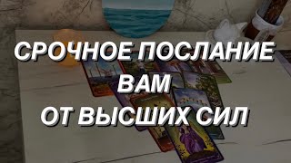 Таро расклад для мужчин. Срочное Послание Вам От Высших Сил 🔥💯🌒