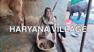 FIRST TIME IN HARYANA VILLAGE 