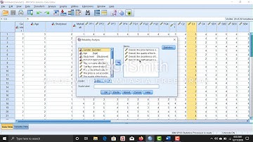 How to do Reliability analysis for each variable in SPSS.