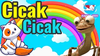 Cicak Cicak Di Dinding - lagu anak anak - lagu anak Indonesia populer | @KANYA-KIDS