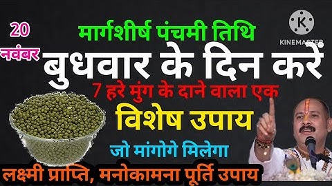 20 नवंबर बुधवार पंचमी तिथि के दिन 7 हरे मूंग वाला उपाय जरूर करें। #upay  #pradeepmishra