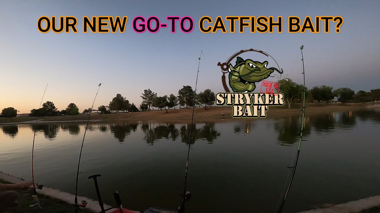 STRYKER BAIT - The World's Best Catfish Bait? (we're sold!) 