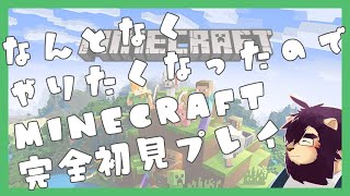 【Minecraft】元日の夜更かし【射干玉ウヌ】