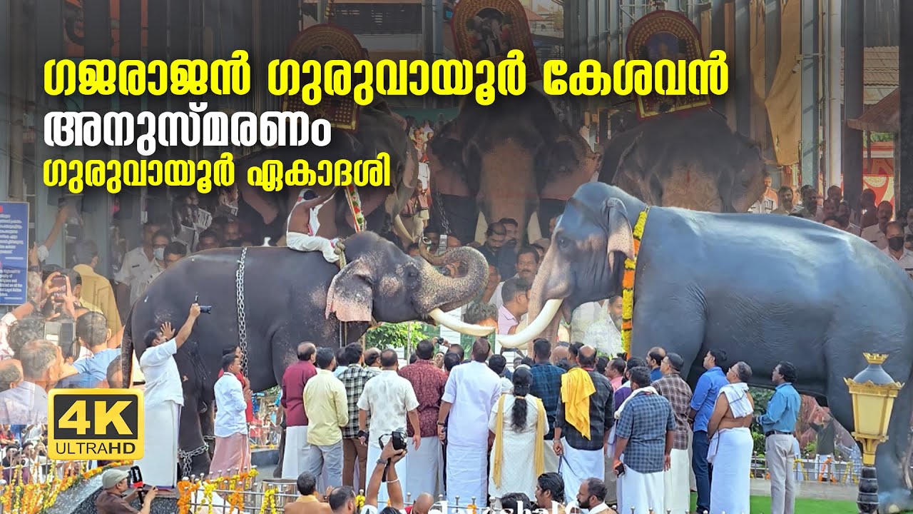 ഗുരുവായൂർ ഏകാദശി 2025 | ഗജരാജൻ ഗുരുവായൂർ കേശവൻ അനുസ്മരണം #GuruvayoorEkadashi  #guruvayoor #2025