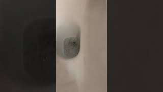 Nausea Nausea