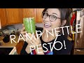 RAMP NETTLE PESTO - CSA COOKING!