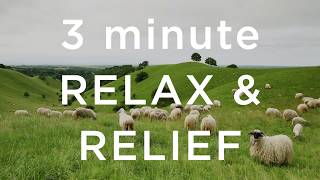 3 Minute Relax and Relief screenshot 1