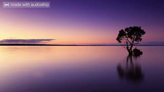 AUD-20260820-WA0005