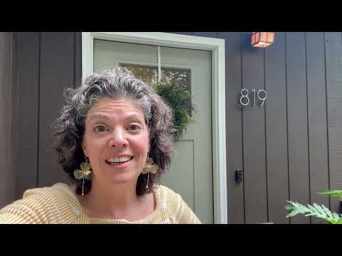 819 S. Lombard Ave., Oak Park, IL home video tour
