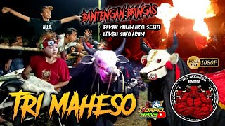 GANAS! DEMIT BANTENG NGAMOK SRUDUK PENONONTON URAK'an TRI MAHESO Live Pringu Bululawang