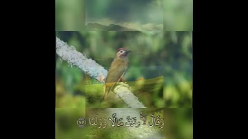 القارئ عبدالرحمن مسعد {ويزيد ٱلله الذين اهتدوۡا هُدىۗ ايات من سورة مريم ٧٦  أجمل الأصوات أطلاقاً